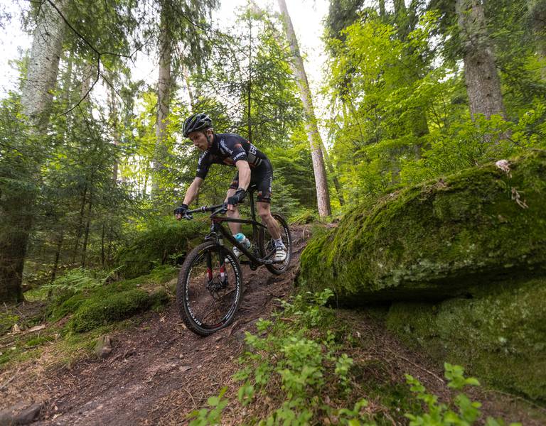 VTT Vosges - Vélo descente - VTT Epinal