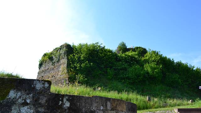 Visite Guidée entre deux tours