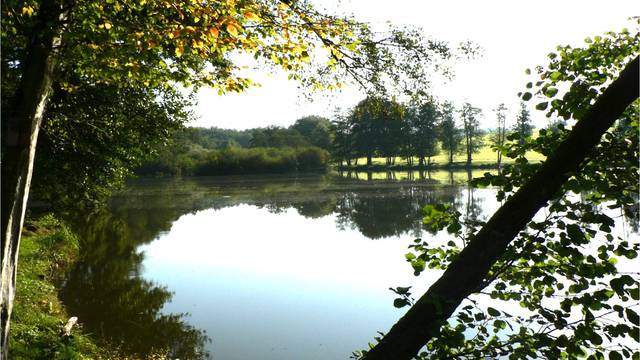 Etang Lallemand