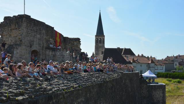 Forteresse de Châtel sur Moselle - Forteresse Vosges - Patrimoine Vosges