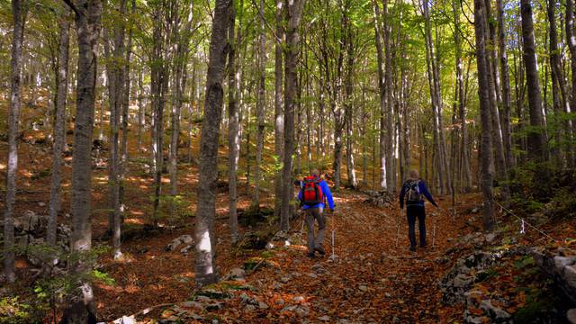 Marche nordique Vosges 