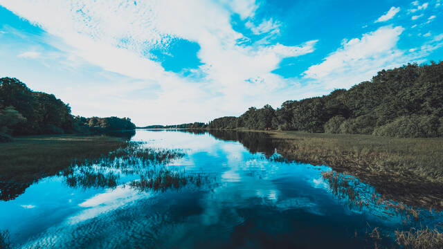 Le lac de Bouzey