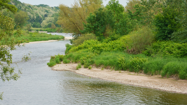 Nos rivières