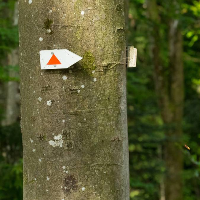 Balise sentier de randonnée Epinal 