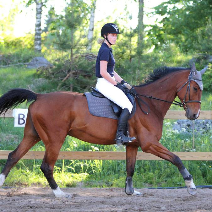 Centre équestre Epinal - Cours d'équitation Epinal - Balade à cheval - Randonnée à cheval - Faire du cheval